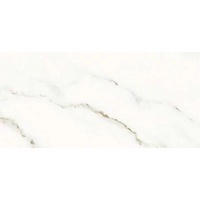 articul-A237142