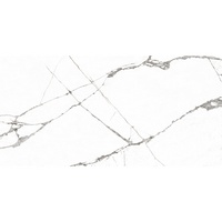 articul-A260581