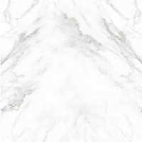 articul-A262146