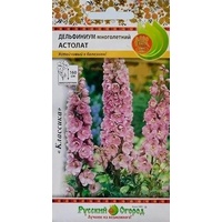 articul-A282704