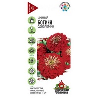 articul-A288963