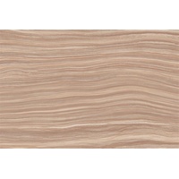 articul-A58495